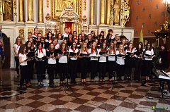 image_0043